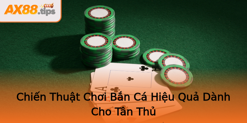 Chiến Thuật Chơi Bắn Cá Hiệu Quả Dành Cho Tân Thủ Chiến Thuật Chơi Bắn Cá Hiệu Quả Dành Cho Tân Thủ