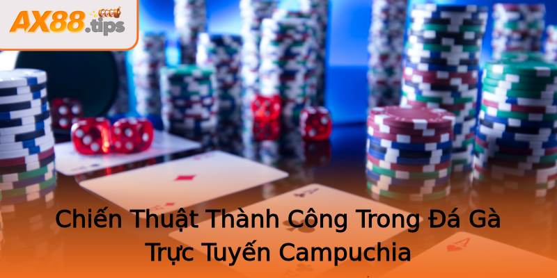 Chiến Thuật Thành Công Trong Đá Gà Trực Tuyến Campuchia Chiến Thuật Thành Công Trong Đá Gà Trực Tuyến Campuchia