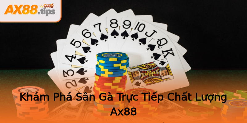Khám Phá Sân Gà Trực Tiếp Chất Lượng Ax88 Khám Phá Sân Gà Trực Tiếp Chất Lượng Ax88