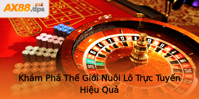 Khám Phá Thế Giới Nuôi Lô Trực Tuyến Hiệu Quả