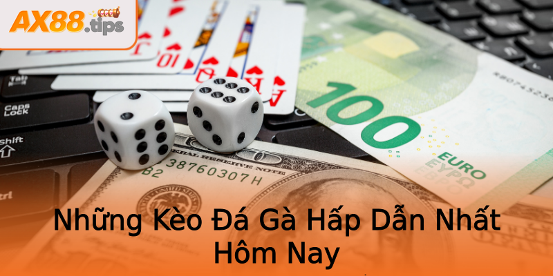 Những Kèo Đá Gà Hấp Dẫn Nhất Hôm Nay Những Kèo Đá Gà Hấp Dẫn Nhất Hôm Nay