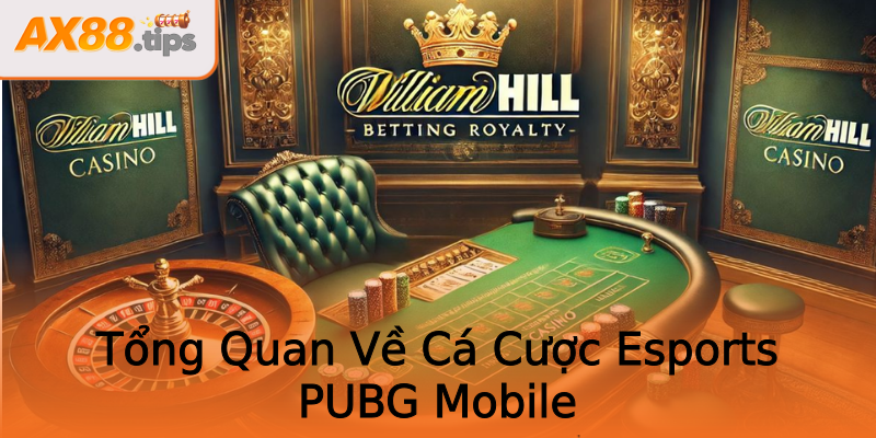 Tổng Quan Về Cá Cược Esports PUBG Mobile Tổng Quan Về Cá Cược Esports PUBG Mobile