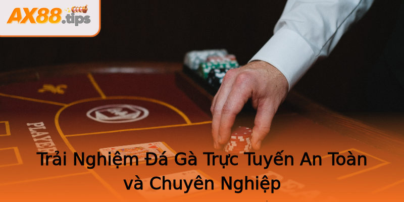 Trải Nghiệm Đá Gà Trực Tuyến An Toàn và Chuyên Nghiệp Trải Nghiệm Đá Gà Trực Tuyến An Toàn và Chuyên Nghiệp