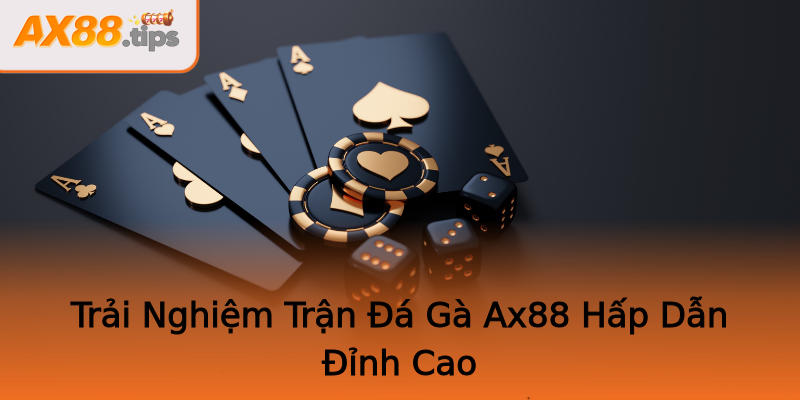 Trải Nghiệm Trận Đá Gà Ax88 Hấp Dẫn Đỉnh Cao Trải Nghiệm Trận Đá Gà Ax88 Hấp Dẫn Đỉnh Cao